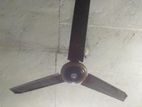 Fan for sell