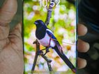 Tecno Camon 20 pro plus (Used)