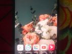 Tecno POP 5 LITE (Used)