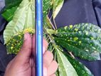 Tecno Spark 6 Air (Used)