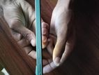 Tecno Spark Go 4/64 (Used)