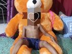 TEDDY BEAR BIG SIZE FOR SELL