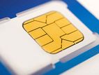 Teletalk Pair Number Sim