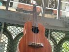 Tenor Size (26") Ukulele