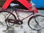 Bicycle for sell