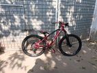 Terrain Stunt cycle for sell