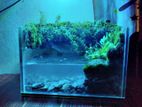 Aquarium for sale