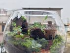 Terrarium