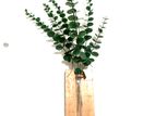 Test tube hanging Flower vase