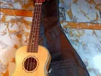 Tgm 24" Concert Ukulele New Edition Sell