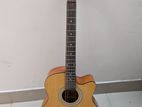 TGM Acoustic Guitar