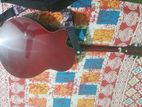 TGM Acoustic Guitar