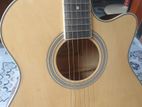 TGM Acoustic Guitar