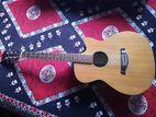 Tgm Acoustic Guitar