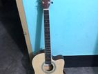 TGM Brand New Condition Acoustic Guitar