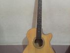 Tgm Guitar for sell