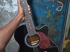 TGM guitar for sell. টিজিএম গিটার