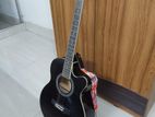 TGM Guitar SM2022