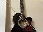 Tgm Guiter