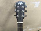 TGM guiter sell post