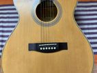 Guitar: TGM acoustic Guitar