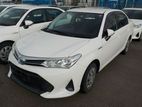 Toyota Axio . 2019