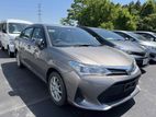 Toyota Axio . 2019