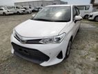 Toyota Axio ☓ 2019