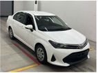 Toyota Axio Auction Grade: 4.5, 2023
