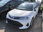 Toyota Axio Ex 2020