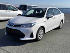 Toyota Axio EX 2020
