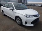 Toyota Axio EX, GRADE: 4 2020