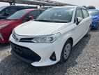 Toyota Axio EX HYBRID PEARL 2021