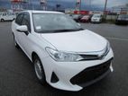 Toyota Axio EX NON HYBRID 2020