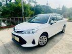 Toyota Axio Ex Octen White 2021