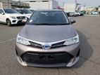 Toyota Axio EX Package 2020