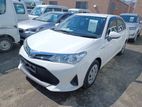 Toyota Axio EX PKG 2020