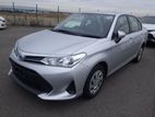 Toyota Axio EX PKG SILVER CLR HB 2020