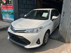 Toyota Axio EX PKG WHTE / 2020
