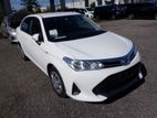 Toyota Axio EX, PUSH, 4.5 GRADE 2019