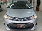 Toyota Axio EX-READY AT SHOWROOM 2020