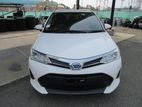 Toyota Axio EX READY DHAKA 2020