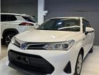 Toyota Axio EX Ready Stock 2020