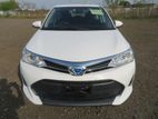 Toyota Axio EX White 4/41000 km 2020