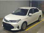 Toyota Axio G 2019