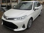 Toyota Axio G 2019