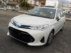 Toyota Axio G. 2019