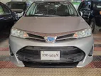 Toyota Axio G 2019