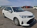 Toyota Axio G 2019