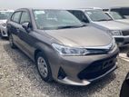 Toyota Axio G Brawn Non hybrid 2019